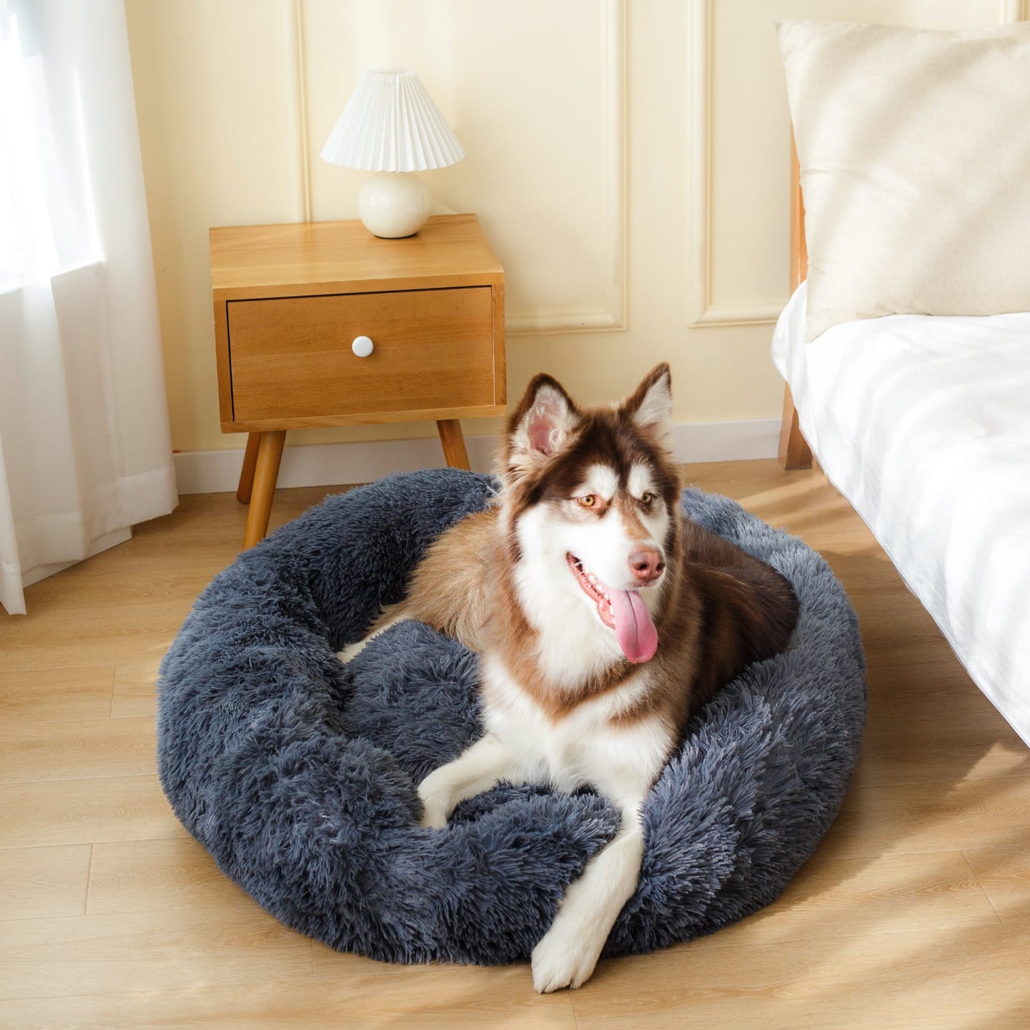 Calming Dog Bed