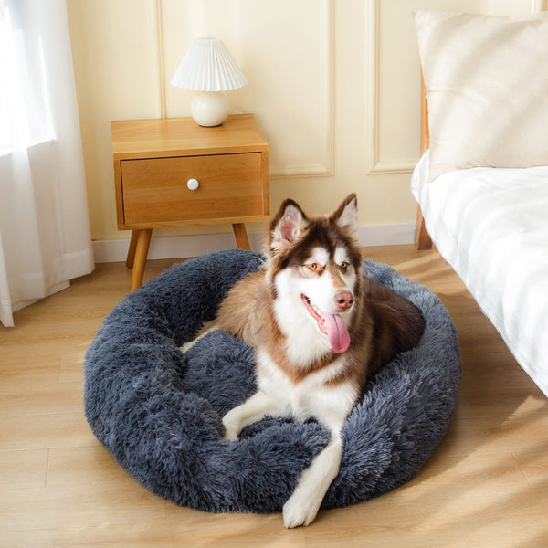 Calming Dog Bed