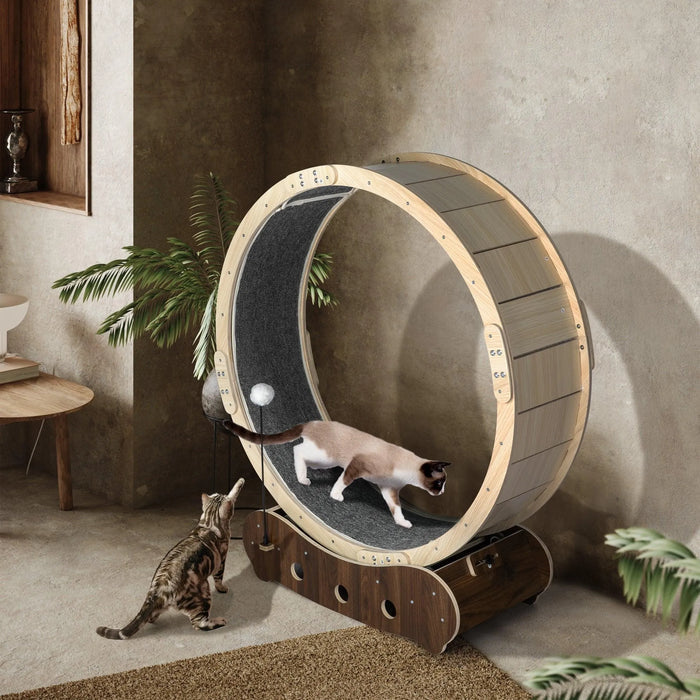 Premium Cat Wheel Exercise Treadmill