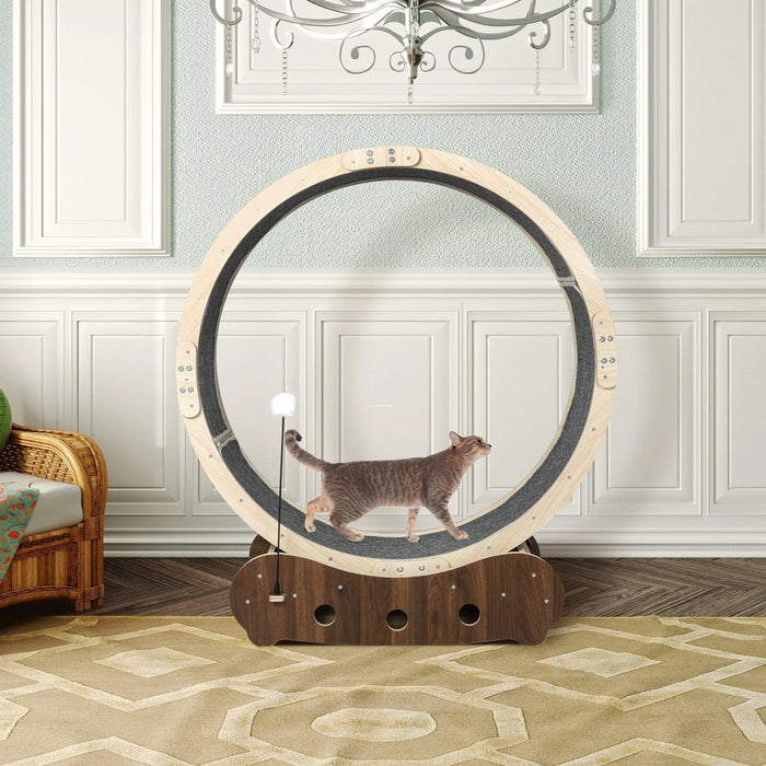 Premium Cat Wheel Exercise Treadmill